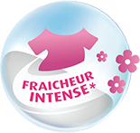 Les conseils d'Artic